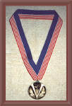 gold medal.jpg (46552 bytes)